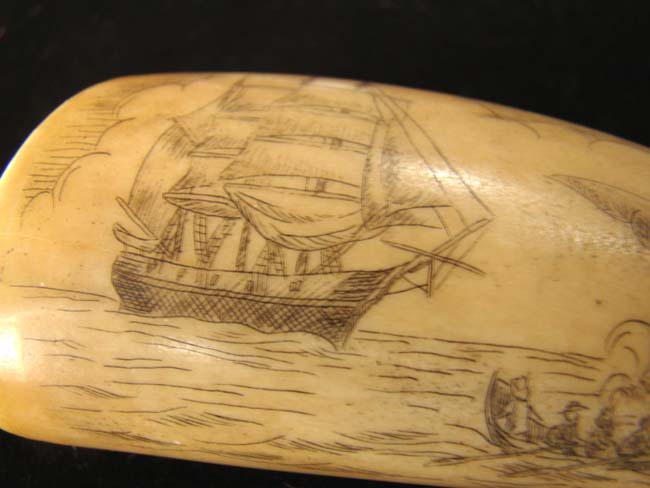 A late 19th or early 20th century Sperm whale tooth with whaling scene and the Whaling Bark 'Florence.' — image 3